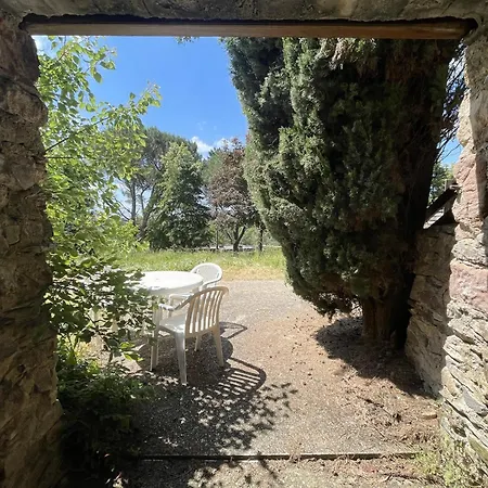 Village Nature En Foret De 假日公园